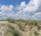 duinen Terschelling